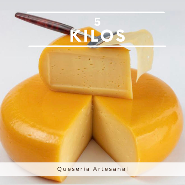 5 kilos queso holandes